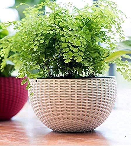SWASTIK Plastic Hanging Flower Pot with Chain Plant Container